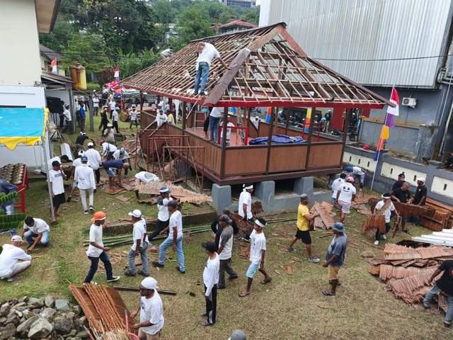Warga Hitu Bantu Proses Pergantian Atap Baileo Halong