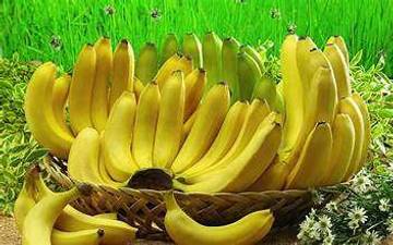 Manfaat Buah Pisang