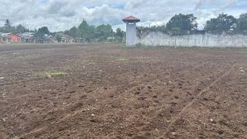 WBP Lapas Atambua Tanam Jagung Hibrida