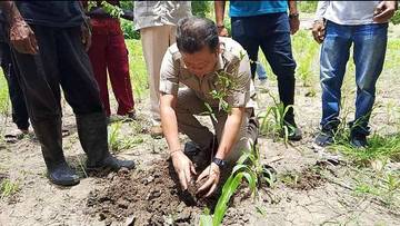 HUT Gerindra, Aksi Tanam Anakan Pohon Asam