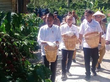 Jokowi 'Mutil' Kopi di Lampung Barat