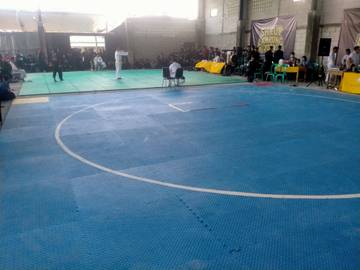 Penjaringan Atlet Silat PSHT Untuk Melangkah Tingkat Nasional