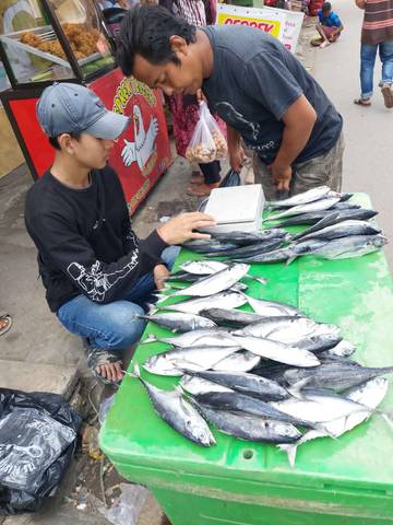Berbagai Jenis Ikan Dijajakan di Pasar Gudang Lelang Jelang Malam Pergantian Tahun 