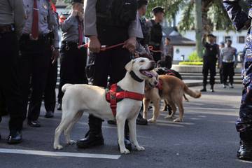 Polda Jabar Turunkan Unit K-9 Bantu Pengamanan Nataru
