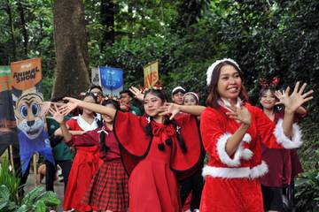 Kebun Binatang Bandung Jadi Destinasi Libur Natal