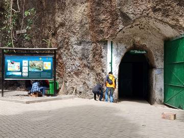 Taman Hutan Raya Djuanda Bandung Tujuan Wisata Edukasi 