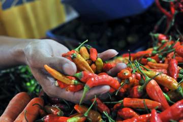 Harga Cabai Rawit Naik Semakin "Pedas" Di Bandung