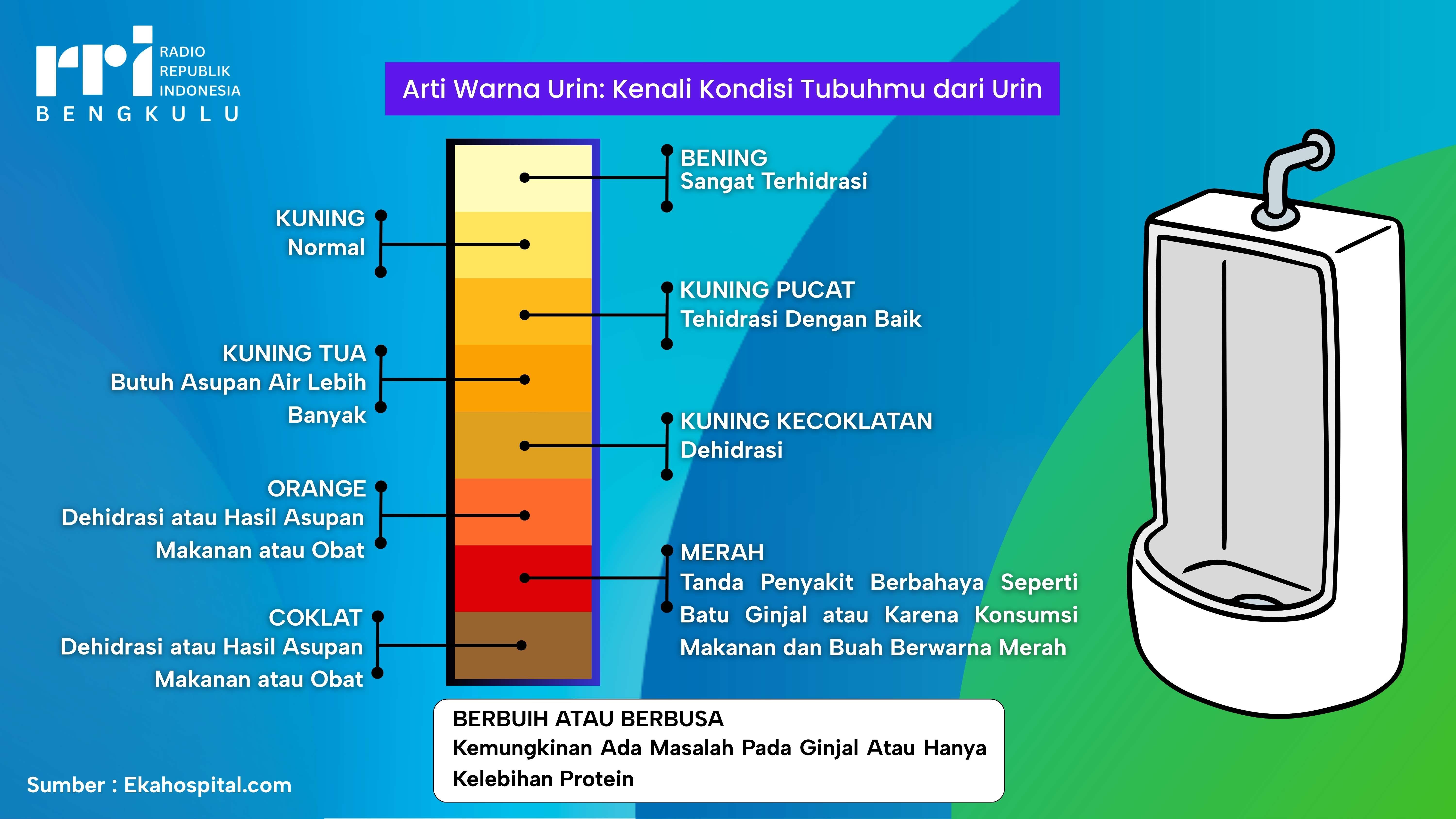Arti Warna Urin: Kenali Kondisi Tubuhmu dari Urin