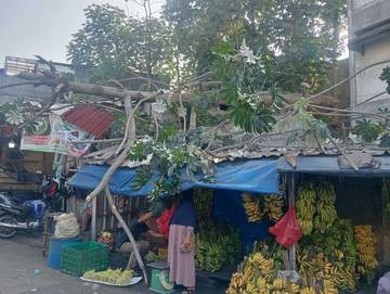 Pohon Tumbang Timpa Pertokoan Semeru Bogor  