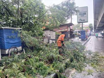 Dahan Pohon Patah Tutupi Trotoar di Tanah Sareal