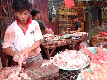 Pedagang Ayam Diserbu Pembeli