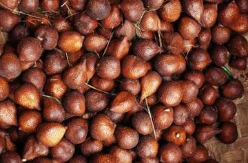 Apakah Benar Buah Salak Bagus untuk Obat Diare?