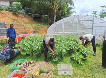 Pembinaan Warga Binaan Lewat Panen Raya Produktif