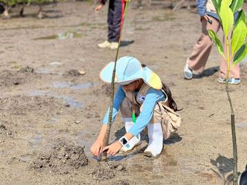  Siswa   Brilli Kids Leadership Lakukan  Gerakan Menanam Mangrove 