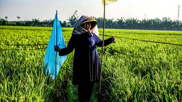 Pupuk Indonesia, Tingkatkan Swasembada Pangan di Utara Jakarta