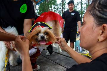 Ulang Tahun Komunitas Friends Dog Jayapura Gelar Lomba