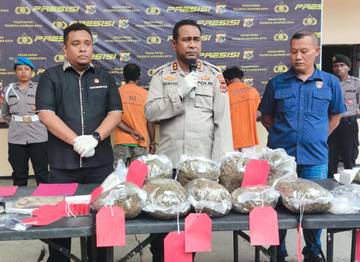 Polisi Amankan Tiga Pelaku Pemilik Ganja di Jayapura
