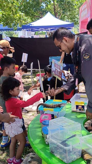 Sareja Edukasi Anak Papua Mengerti Reptil sejak Dini