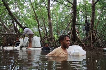 Hutan Bakau Teluk Yotefa Dipenuhi Sampah 