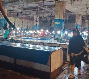 Pasar Basah Mandonga Mulai Aktif, Harga ikan Tinggi