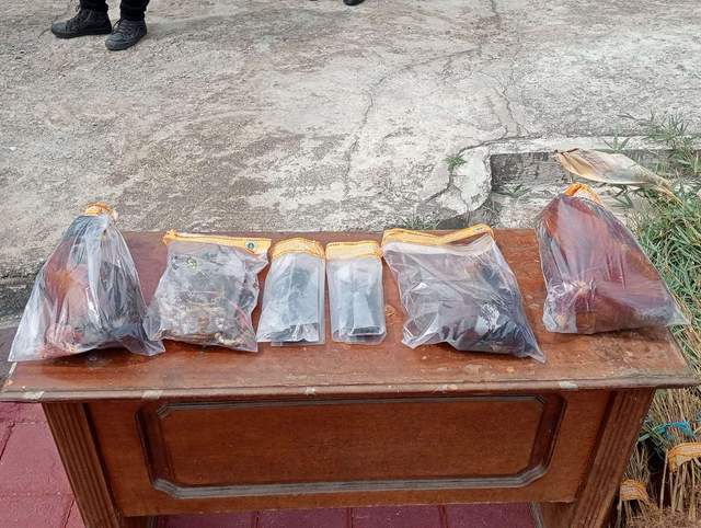 Pemusnahan Komoditas Hewan dan Tumbuhan Ilegal BKHIT Sulbar