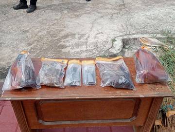 Pemusnahan Komoditas Hewan dan Tumbuhan Ilegal BKHIT Sulbar