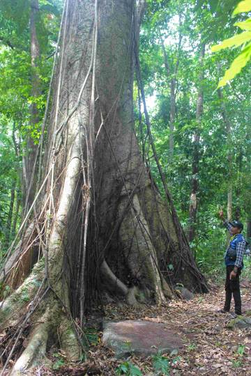 Pesona Lembah Kahung di Desa Belangian