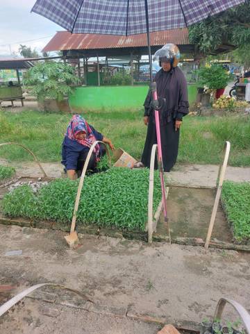 Penyemaian dan Penjualan Bibit Pertanian