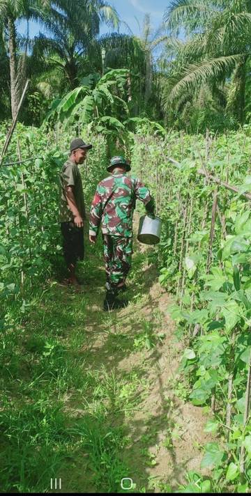 Sinergitas TNI dan Masyarakat dalam Ketahanan Pangan
