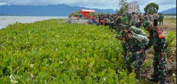 Prajurit TNI dan Warga Bersihkan Eceng Gondok di Danau Toba