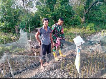 Babinsa Bersama Warga Laksanakan Pembibitan 1000 Pohon Mangrove