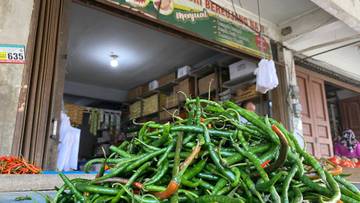 Harga Cabai Tembus Rp 40 Ribu di Meulaboh