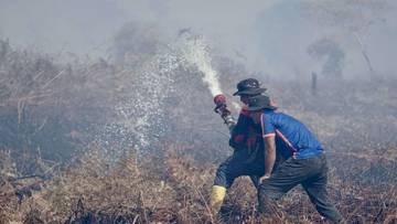 Karhutla di Aceh Barat Terus Meluas