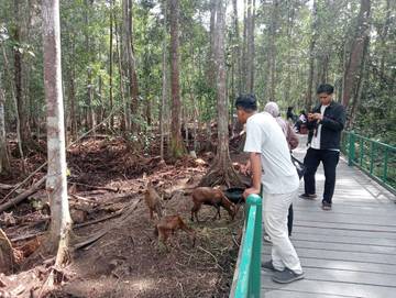 Masyarakat Mengisi Waktu Libur Berwisata ke Arboretum Nyaru Menteng 