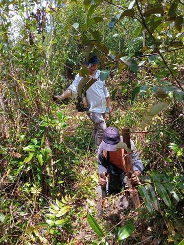 Pentingnya Pemasangan Patok di Lahan, Tanda Batas Kepemilikan Tanah