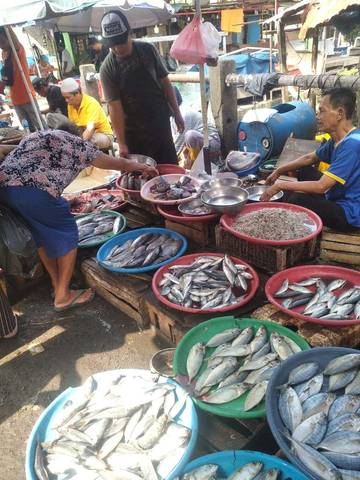 Pasca Lebaran Idul Adha Harga Ikan Mulai Mengalami Penurunan Harga 