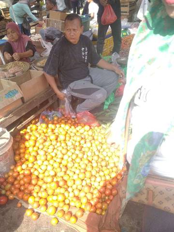 Pasca Lebaran Idul Adha Harga Tomat Mulai Mengalami Penurunan Harga