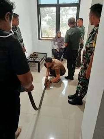 Warga Palembang Serahkan Ratusan Amunisi dan Senapan ke Kodim 