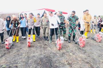 Sekda Edward Candra dan Kapolda Tanam Jagung Serentak