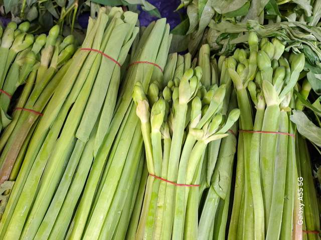 Daun Genjer Yang Kerap Diolah Jadi Tumisan