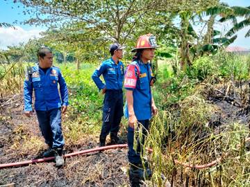 Enam Personil Damkarmat Palu Diterjunkan Padamkan Api Palu Barat