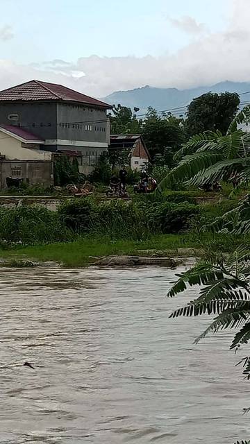 Kemunculan Buaya di Sungai Palu Jadi Tontonan Warga