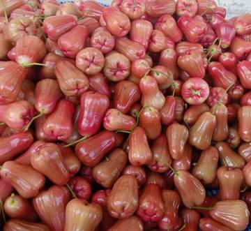Manfaat Jambu Air bagi Kesehatan Tubuh