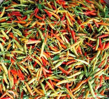 Jelang Hari Raya Idul Adha, Harga Cabai Meroket