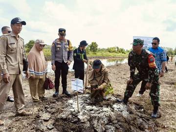 ICRAF Bangun Demoplot Sistem Surjan di Kubu Raya 