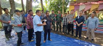 Danramil Nanga Mahap Dampingi Bupati Sekadau Panen Padi