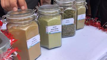 Potret Ekspor Ratusan Ton Kratom Kalbar ke India