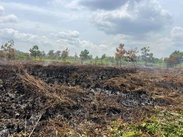 Kebakaran Lahan di Kawasan Jalan Paris 2 