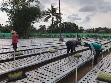 Kegiatan Kelompok Tani Hadapi Musim Kering