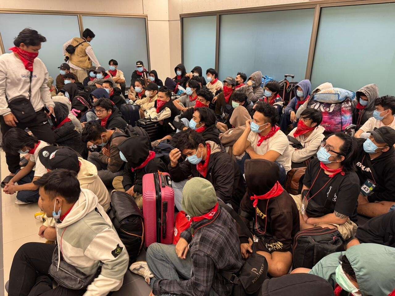 Puluhan WNI Terlibat Online Scam Dipulangkan dari Myanmar